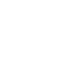 budget 1 | WeNetwork